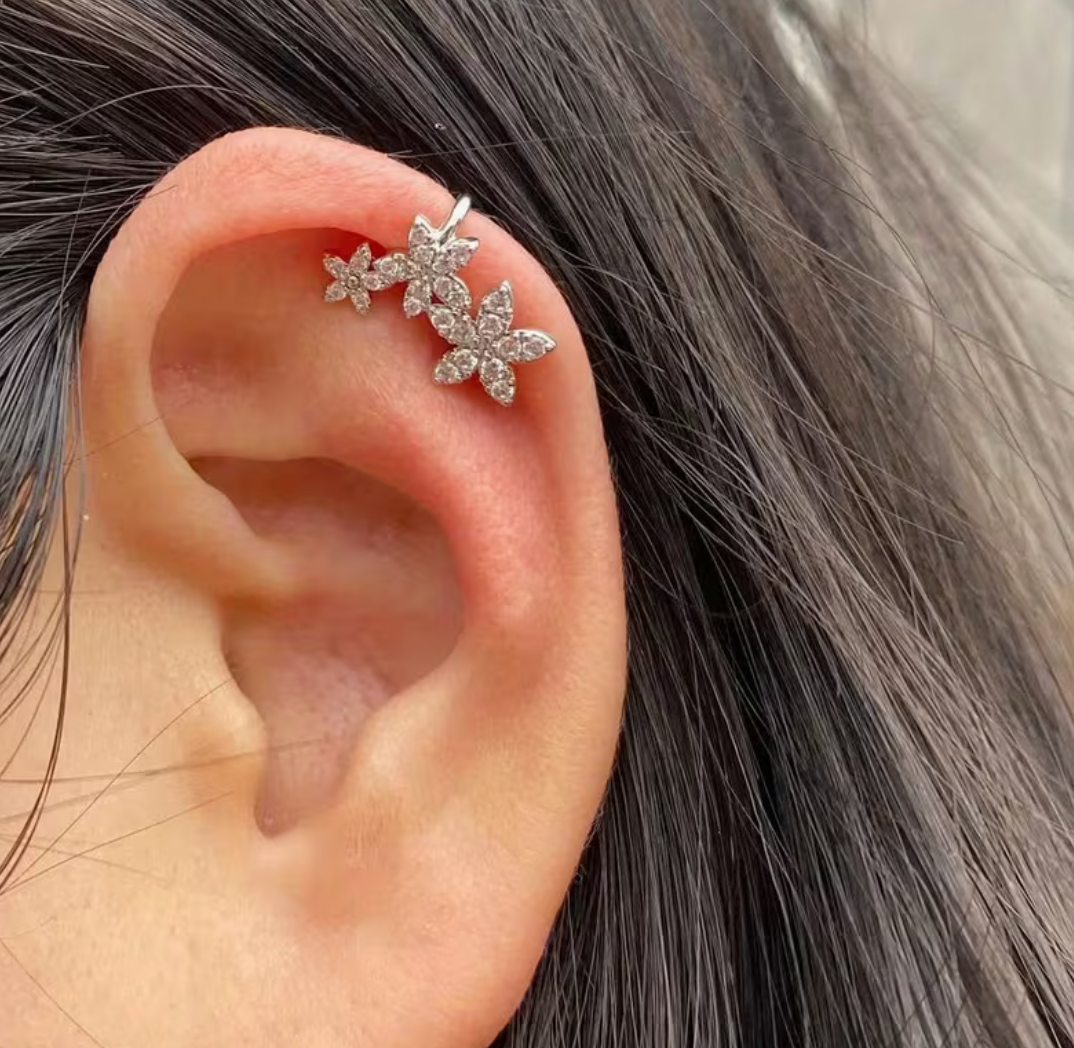 Boucles d'oreilles à clip en argent