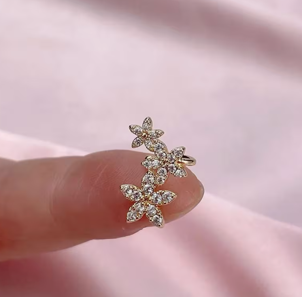 Boucles d'oreilles à clip en argent