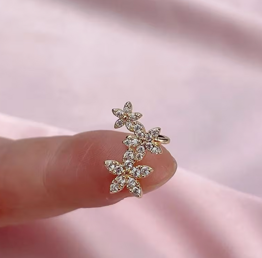 Boucles d'oreilles à clip en argent